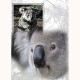ZOO GREETING CARD Koala